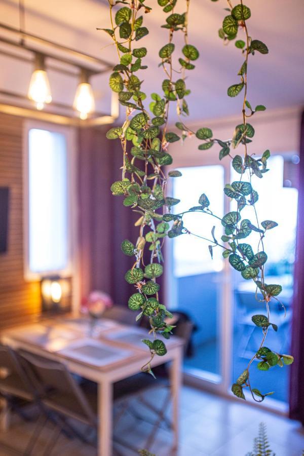 Superbe Appartement - Terrasses - Clim - Parking Prepaye Ла-Валетт-дю-Вар Екстер'єр фото